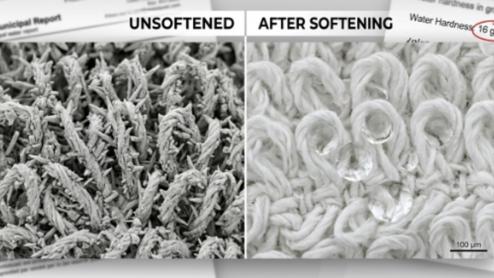 Commercial Laundry Services